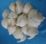 Click để xem hình lớn